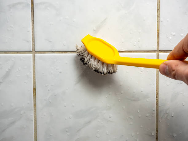 Best Emergency Mold Remediation in Shady Spring, WV